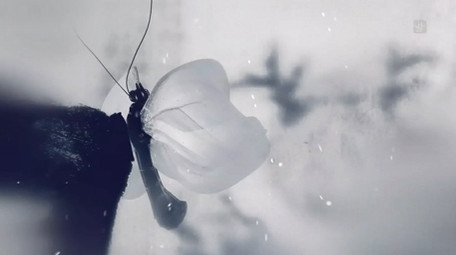 中国风古典节日唯美水墨蝴蝶片头AE模板