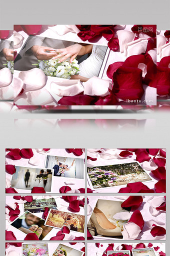 玫瑰花瓣中的珍贵爱情回忆AE相册模板图片