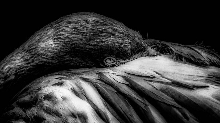 游戏中暗中潜伏时的紧张气氛音乐MP3下载