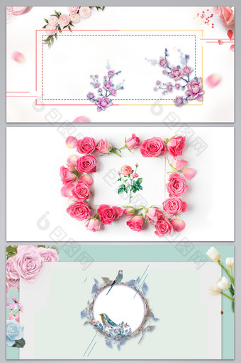 粉彩玫瑰花朵时尚花瓣春天花卉背景图图片