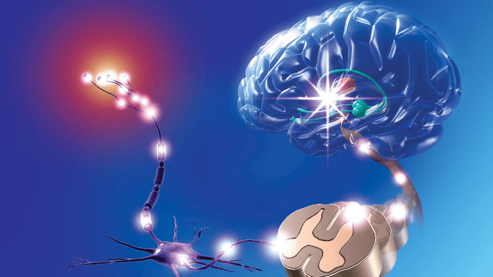 越来越快的紧张心跳声MP3下载_【包图网】