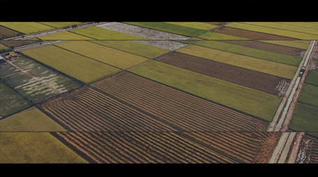 快节奏动感文字排版AE模板