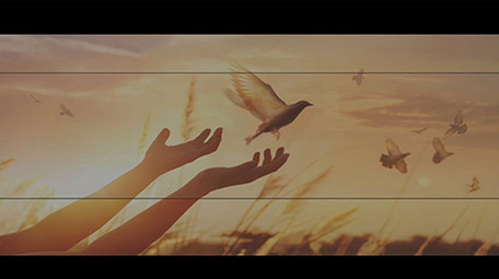 快节奏动感文字排版AE模板