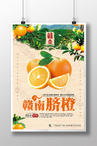 简约赣南脐橙促销宣传海报图片