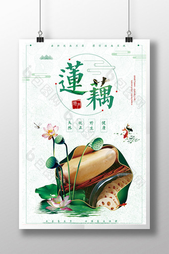 中国风新鲜莲藕养生食品海报图片