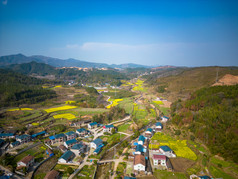 美丽乡村田园农业种植油菜花航拍图