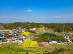 丘陵山川农田油菜花美丽乡村航拍摄影图