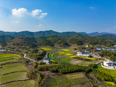 丘陵山川农田油菜花美丽乡村航拍摄影图