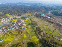 山川农田油菜花美丽乡村航拍摄影图