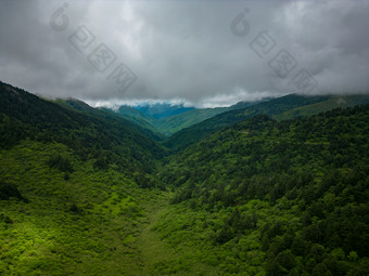 祖国大好<strong>河山</strong>湖北神农架5A景区航拍摄影图