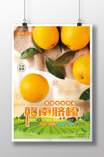 清新 水果 赣南脐橙海报图片