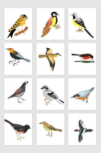 斑鸠叫声音效下载_斑鸠叫声mp3音效素材大全