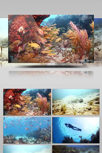 河流视频模板下载_河流视频ae模板素材