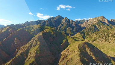 金牛图片_金牛模板下载_金牛设计素材