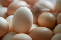 新鲜的土鸡蛋生鸡蛋摄影