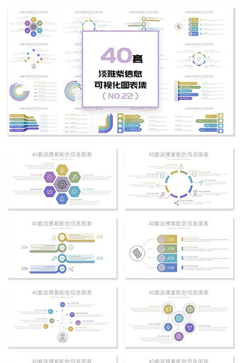 40套淡雅紫信息可视化PPT图表