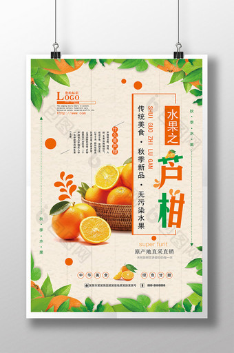 新鲜水果芦柑海报图片