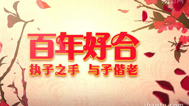 老视频模板下载_老视频ae模板素材