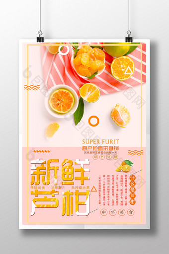 创意小清新水果新鲜芦柑宣传促销海报图片