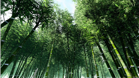 场景 山 国画 雾气 水墨感 云 粒子