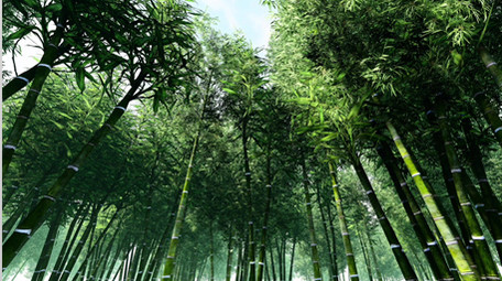 场景 山 国画 雾气 水墨感 云 粒子