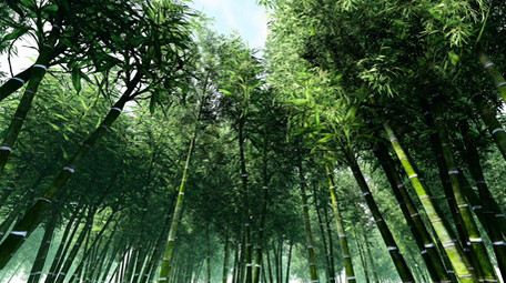 场景 山 国画 雾气 水墨感 云 粒子