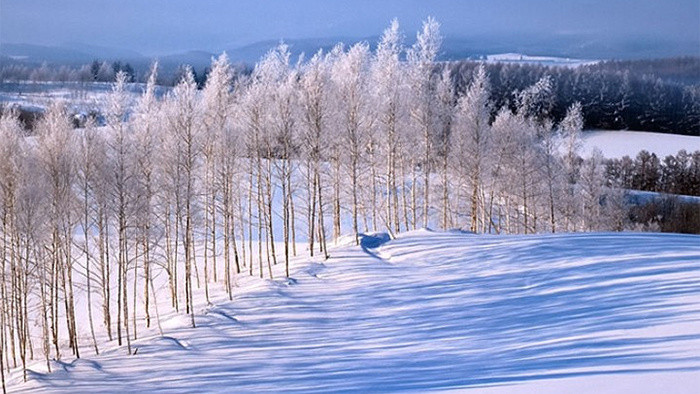 安静纯美忧伤钢琴曲