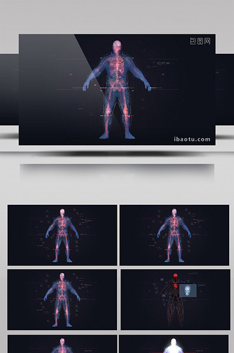科技人像扫描信息特征动画医疗宣传ae模板图片
