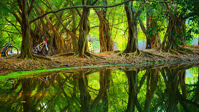 清脆舒缓的背景音乐