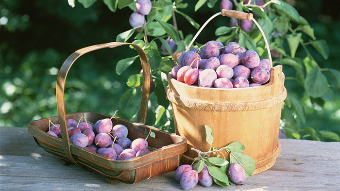 紧张搞笑气氛渲染音效素材MP3下载