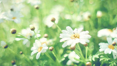 演讲比赛节目主持辩论比赛才艺表演PPT