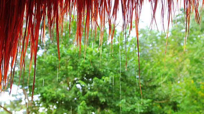 春季淅沥沥的雨声音效素材