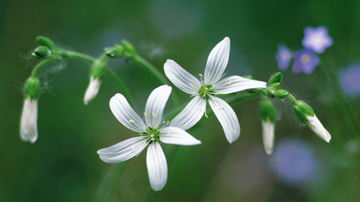 离别伤感不舍色彩的纯音乐