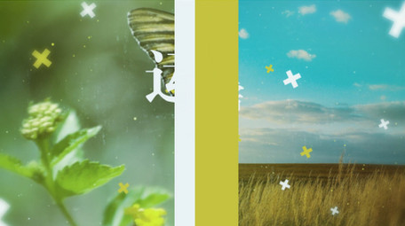 简洁清新假期旅游照片写真图文相册AE模板