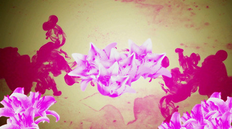 中国风古典牡丹花舞台背景视频