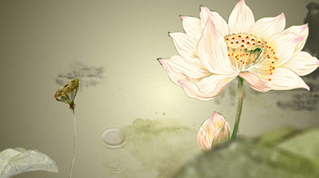 唯美复古中国风荷花舞台背景视频