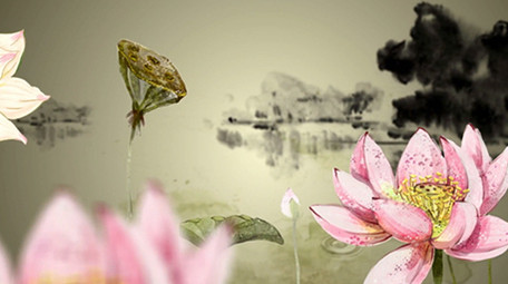 唯美复古中国风荷花舞台背景视频