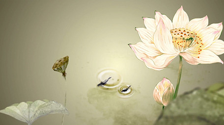 唯美复古中国风荷花舞台背景视频