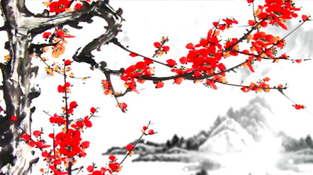 美丽腊梅雪景舞台背景视频