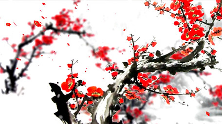 美丽腊梅雪景舞台背景视频