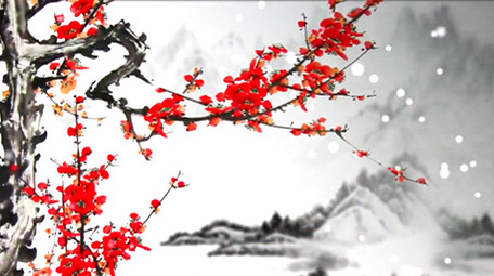 美丽腊梅雪景舞台背景视频