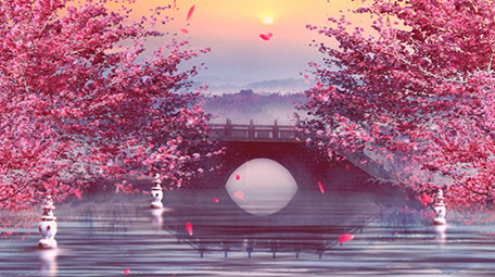 粉色回忆古风中国风舞台背景视频