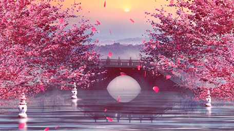 粉色回忆古风中国风舞台背景视频