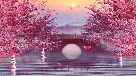 粉色回忆古风中国风舞台背景视频