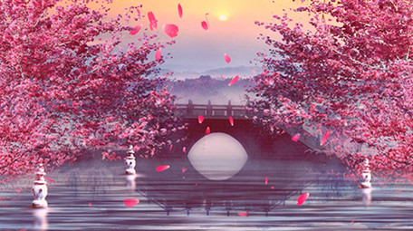 粉色回忆古风中国风舞台背景视频