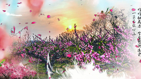 水墨晕染诗词中国风桃花舞台背景视频