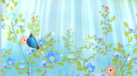 春天清新花丛蝴蝶logo开场动画AE模板