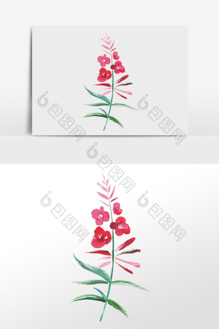 花卉插画图片图片