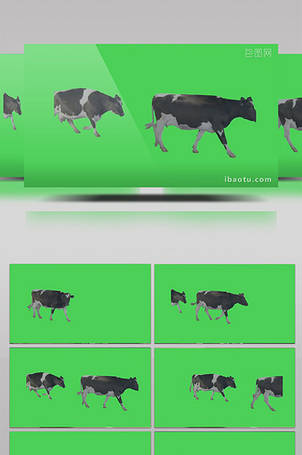 奶牛绿屏幕抠像素材图片