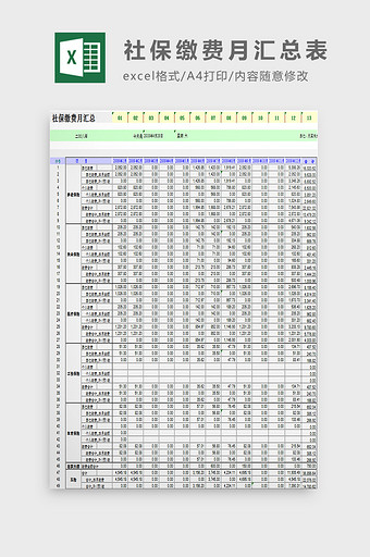 社保缴费月汇总表excel模板图片